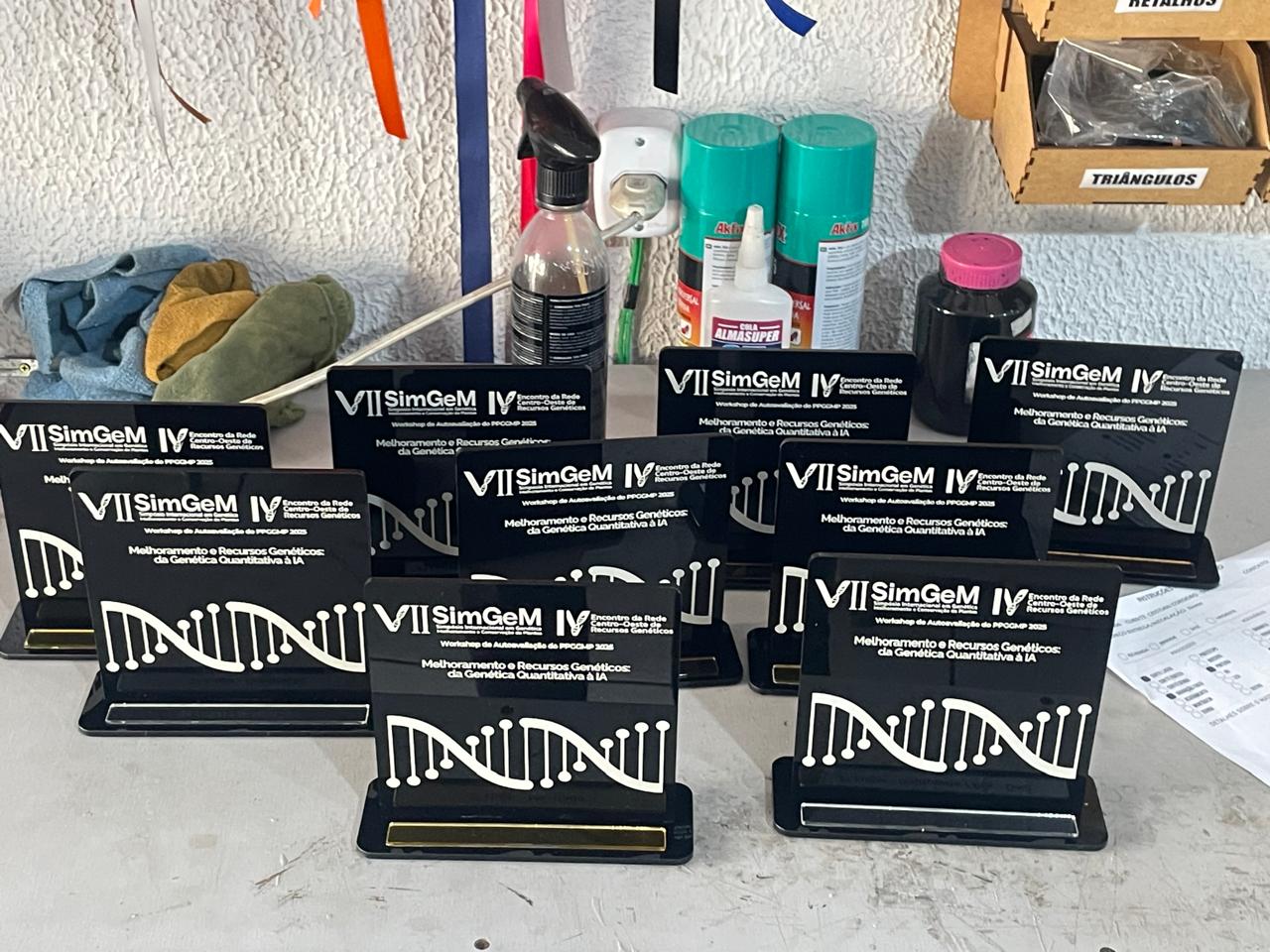 Troféu em Acríulico - Linha Basic: Simples e Ágil - Troféus - Imagem 2